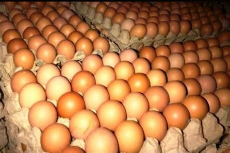 Harga Telur Ayam Di Pasar Jayapura Melonjak Naik Antara News Papua