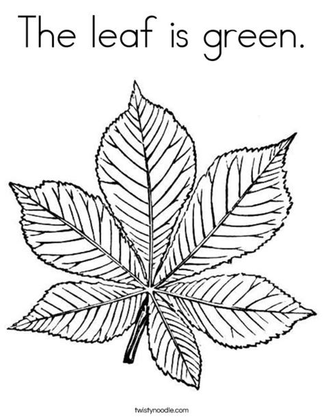 leaf  green coloring page twisty noodle