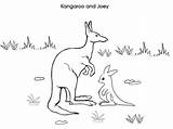 Kangaroo Joey Kangourou Colouring Netart Coloriages Coloring sketch template