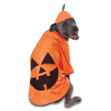 big dog pumpkin dog costume  rubies baxterboo