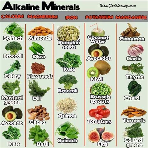 Alkaline Rich Foods Alkaline Foods Alkaline Diet Health