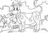 Vaca Comiendo Vacas Campana Todoparacolorear sketch template
