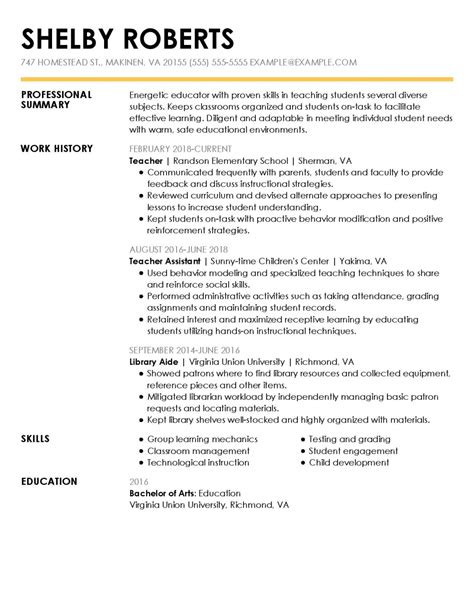 professional summary   resume  letter templates