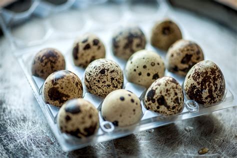 Quail Eggs – The Village Butcher – Your Craft Butcher Delivered