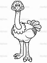 Coloring Pages Ostrich Kids sketch template