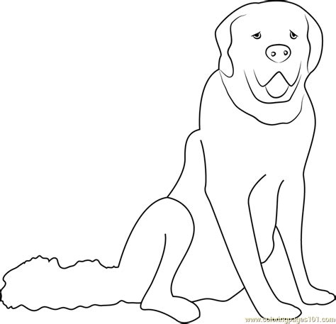 white dog coloring page  dog coloring pages coloringpagescom