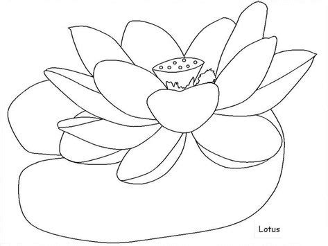 lotus flower coloring page images   flower coloring