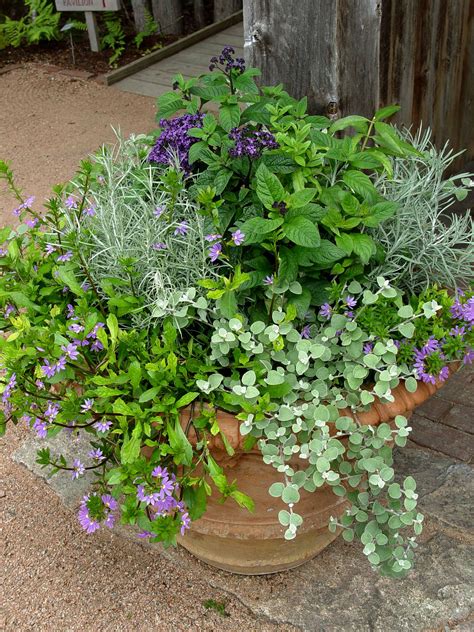 creative ways  pot garden garden housecalls