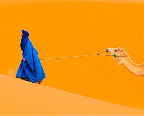 51 best tuareg images on pinterest
