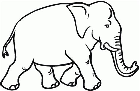 indian elephant coloring page   indian elephant