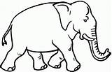 Elephant Elephants sketch template