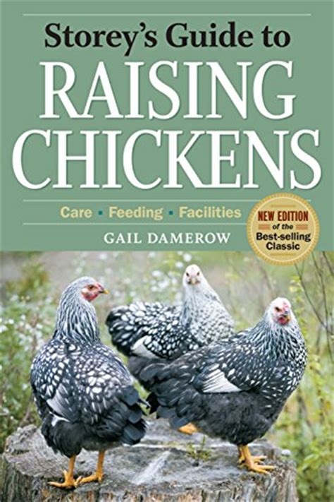 how to take care of chickens on the farm or at home back