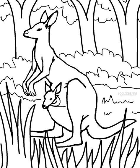 printable kangaroo coloring pages  kids coolbkids