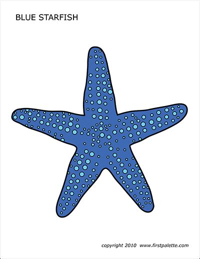 starfish  printable templates coloring pages firstpalettecom