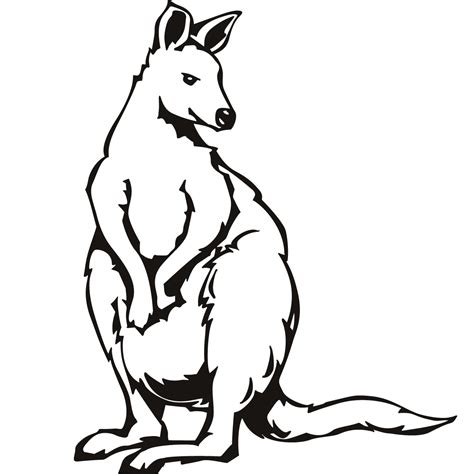 printable kangaroo coloring pages  kids animal place