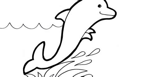 beautiful dolphin coloring pages  desktop