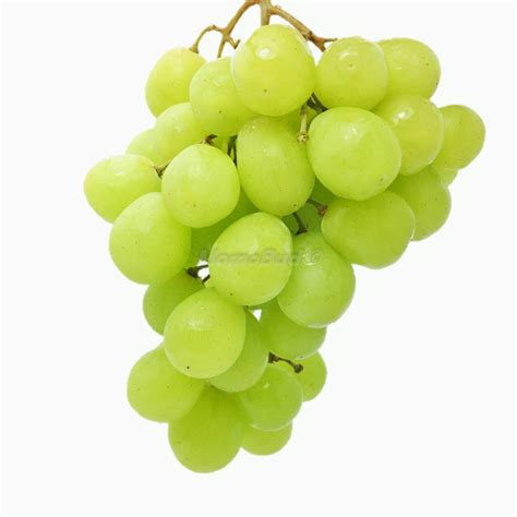 sugraone green seedless grapes kg momobud