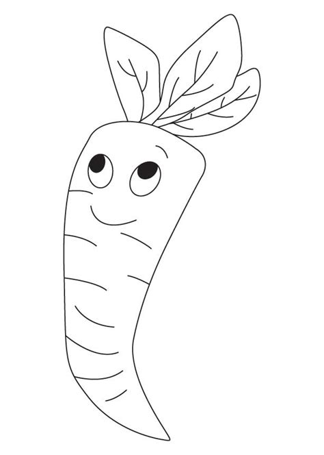 carrot coloring pages  coloring pages  kids