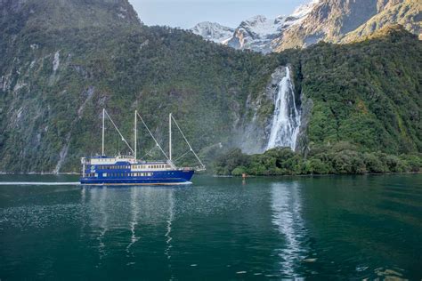 milford sound tours  queenstown  review guide