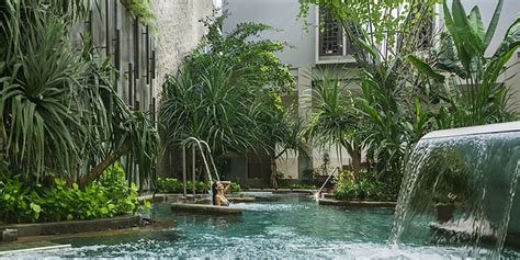 top spa experiences youll  find  bali