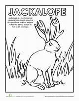 Coloring Jackalope Color Pages Creatures Worksheet Worksheets Choose Board Kids sketch template