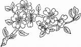 Blossom Ingalls 1886 Mug sketch template