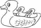 Coloring Rubber Duck Duckling Pages Ducktales Getdrawings Drawing Getcolorings sketch template