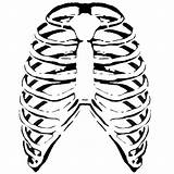 Rib Cage Ribcage Clipart Stencil Cartoon Angel Cliparts Fallen Draw Deviantart Illustration Clipartbest Clipground Library sketch template