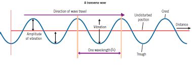 transverse wave  relates     identified