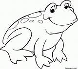Tree Frog Coloring Pages Popular sketch template