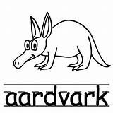 Coloring Pages Aardvark Mammal Printable Getcolorings Awesome sketch template