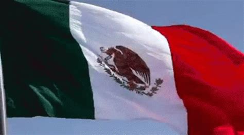 mexico flag gif animated flags bandiere animate pagina
