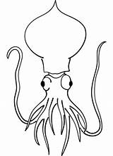 Squid Supercoloring Simontok sketch template