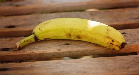 Wonderful 5 Problems That Bananas Will Solve More Effectively Than Any