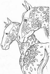 Pferde Colouring Erwachsene Ausmalen sketch template