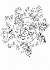 Mandala Coloring Pages Autumn Getcolorings sketch template