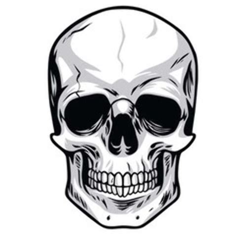 high quality skull clipart vector transparent png images art