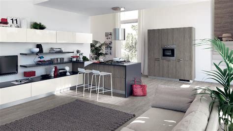 contemporary kitchens  large  small spaces