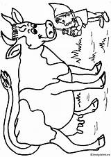 Koeien Kleurplaat Dieren sketch template