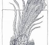 Zentangle Bird sketch template