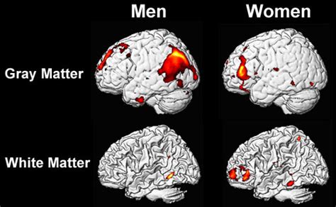 ask healthy life why men and women think differently