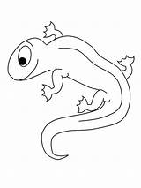 Salamander Salamandra Salamandre Anfibios Animals Ausmalen Salamanders Animais Ausmalbilder Coloriages Amphibian Pintarcolorir Ludinet Malvorlagen Colorier Kostenlose Advertisement sketch template