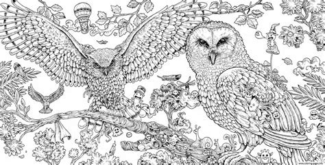 animorphia owls hard adult animal coloring page printable