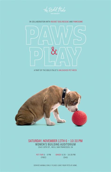 simplicity   design pets pet advertising dog poster