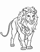 Leeuw Leoni Lions Fresh Kleurplaten Leao Stampare Topkleurplaat Angry Narnia Printen Paperblog sketch template