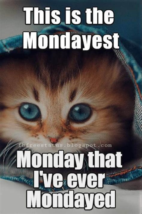 Monday Funny Pictures 386887424233113684 Monday Morning Quotes