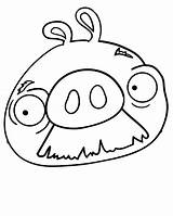 Coloring Pages Angry Mustache Birds Pig Moustache Walrus Bird Drawing Face Getdrawings Getcolorings Children Print Pigs Color Clipartmag Colorings Popular sketch template