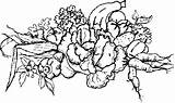 Coloring Pages Garden Vegetables  sketch template