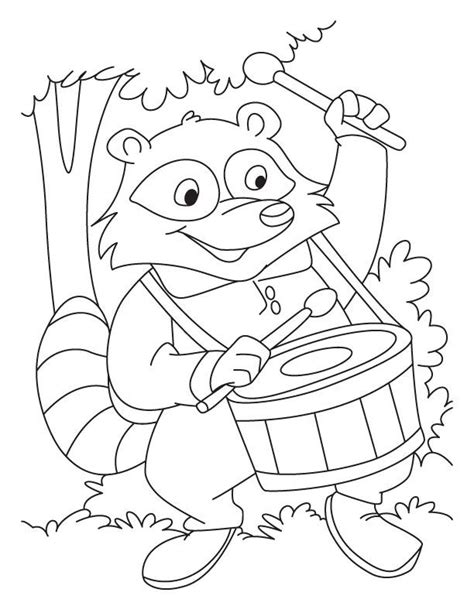 baby raccoon coloring pages coloring home