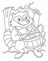 Coloring Raccoon Pages Drum Baby Kids Racoon Drums Drawing Beater Color Drummer Library Clipart Printable Danh Tr Ng Con Getdrawings sketch template